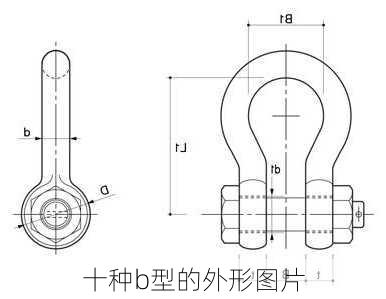 十种b型的外形图片