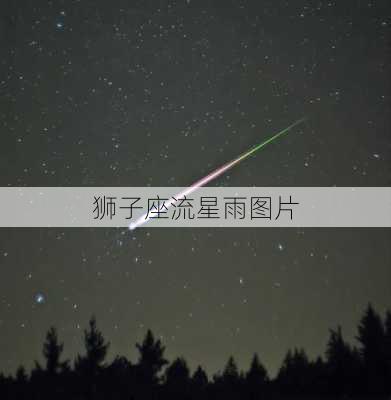 狮子座流星雨图片