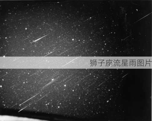 狮子座流星雨图片