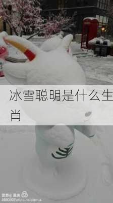 冰雪聪明是什么生肖