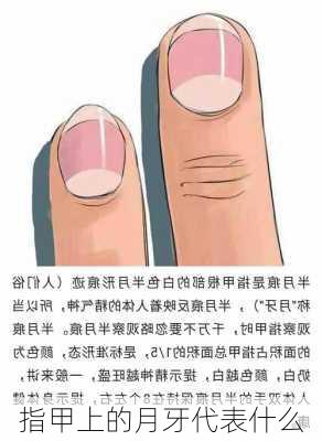 指甲上的月牙代表什么