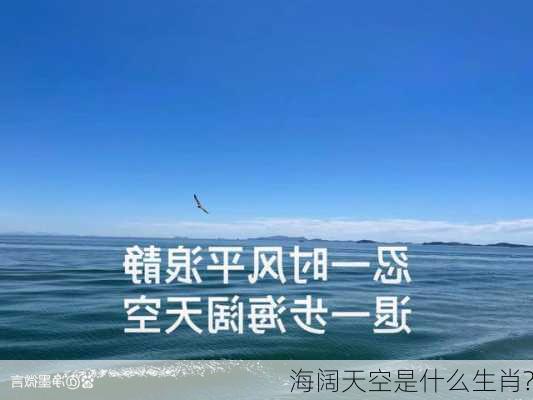 海阔天空是什么生肖?