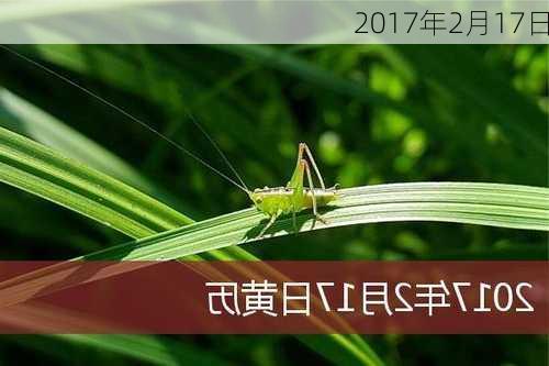 2017年2月17日