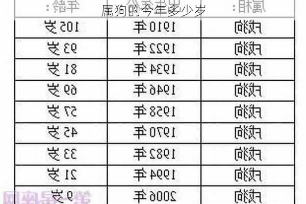 属狗的今年多少岁