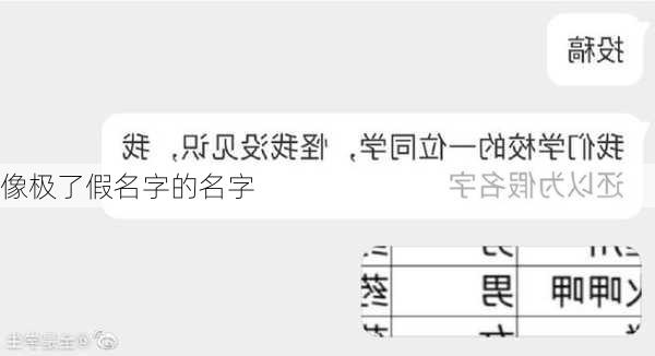 像极了假名字的名字