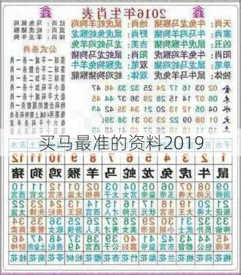 买马最准的资料2019