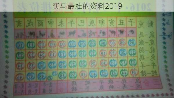 买马最准的资料2019