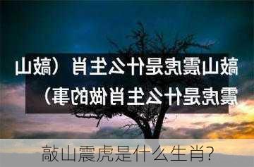 敲山震虎是什么生肖?