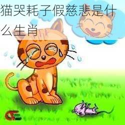 猫哭耗子假慈悲是什么生肖