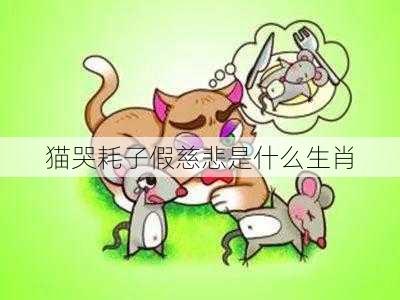 猫哭耗子假慈悲是什么生肖