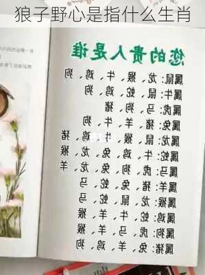 狼子野心是指什么生肖