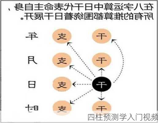 四柱预测学入门视频