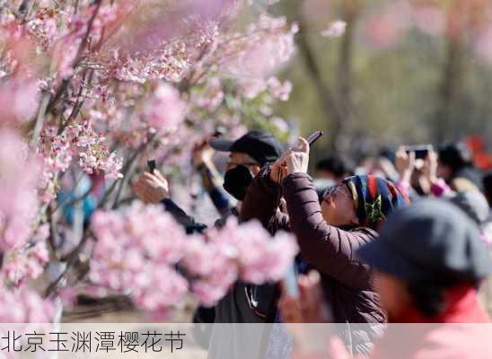 北京玉渊潭樱花节