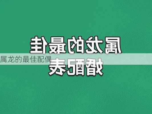 属龙的最佳配偶