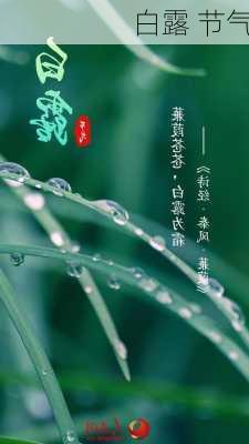 白露 节气