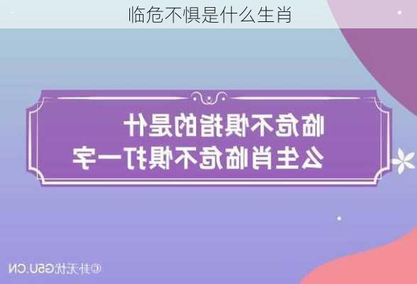 临危不惧是什么生肖