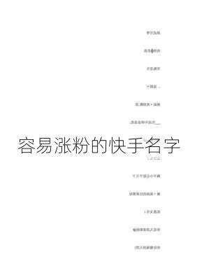 容易涨粉的快手名字