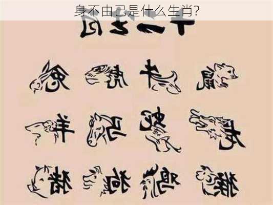 身不由己是什么生肖?