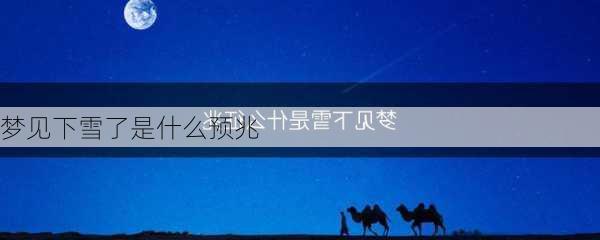 梦见下雪了是什么预兆