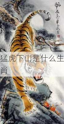 猛虎下山是什么生肖