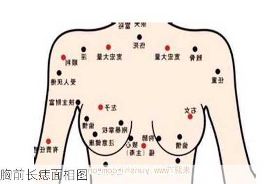 胸前长痣面相图