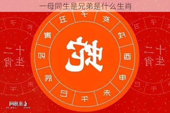 一母同生是兄弟是什么生肖