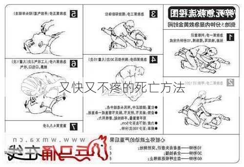 又快又不疼的死亡方法