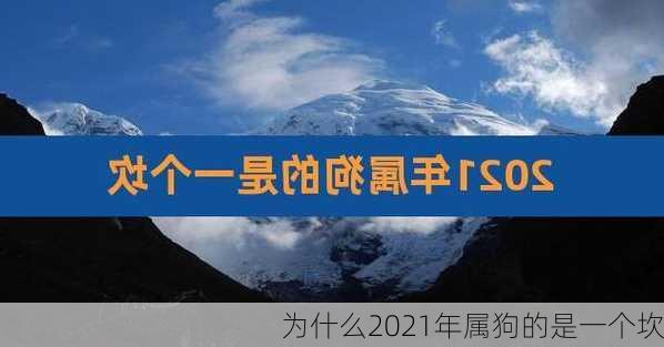 为什么2021年属狗的是一个坎