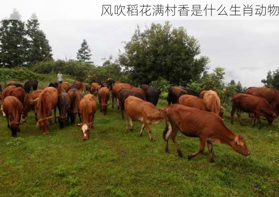 风吹稻花满村香是什么生肖动物