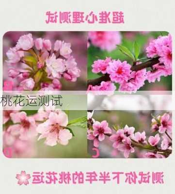 桃花运测试