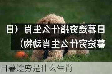 日暮途穷是什么生肖