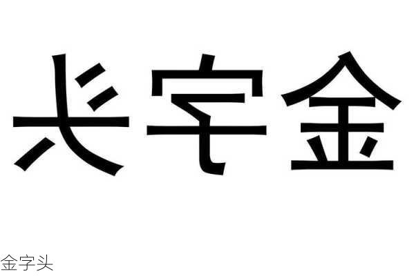 金字头