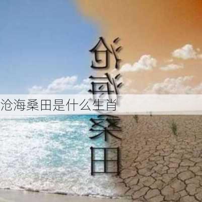 沧海桑田是什么生肖