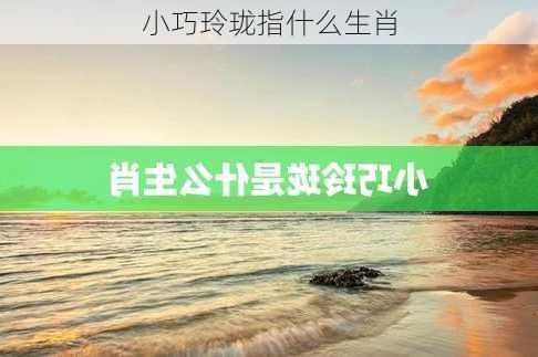 小巧玲珑指什么生肖