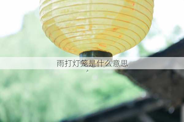 雨打灯笼是什么意思