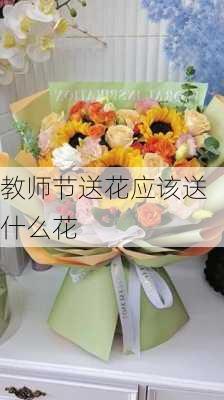 教师节送花应该送什么花