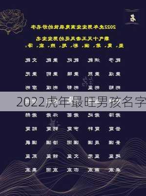 2022虎年最旺男孩名字