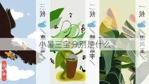 小暑三宝分别是什么