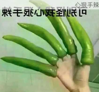 心狠手辣