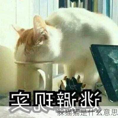 躲猫猫是什么意思